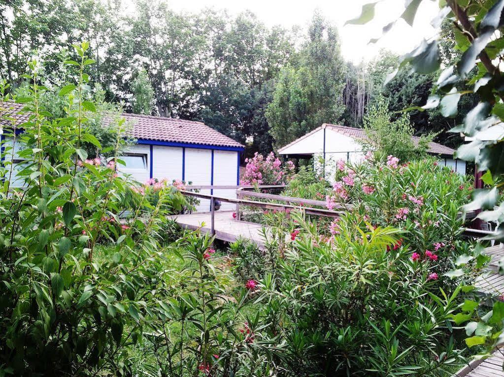 Bungalows & Rooms - Git'Ostal Carcassonne Zewnętrze zdjęcie