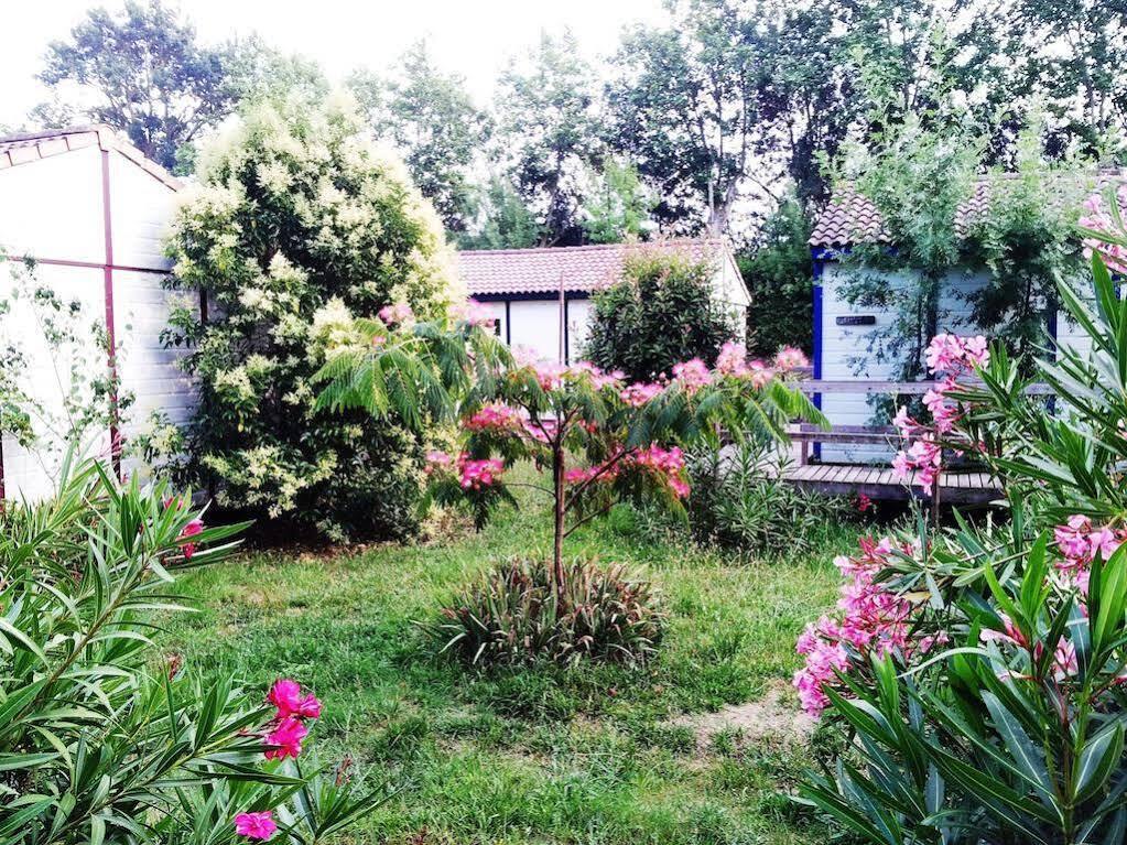 Bungalows & Rooms - Git'Ostal Carcassonne Zewnętrze zdjęcie